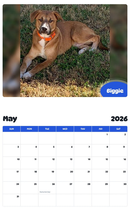 2026 - 2027 Biggie - Pawidols Pet Calendar