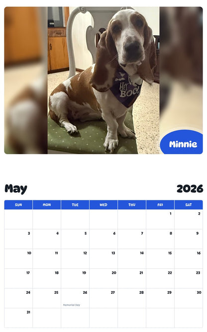 2026 - 2027 Minnie - Pawidols Pet Calendar