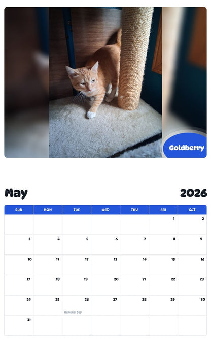 2026 - 2027 Goldberry - Pawidols Pet Calendar