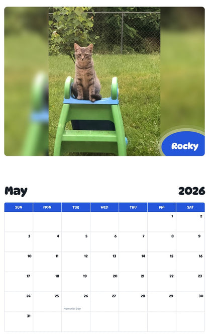 2026 - 2027 Rocky - Pawidols Pet Calendar