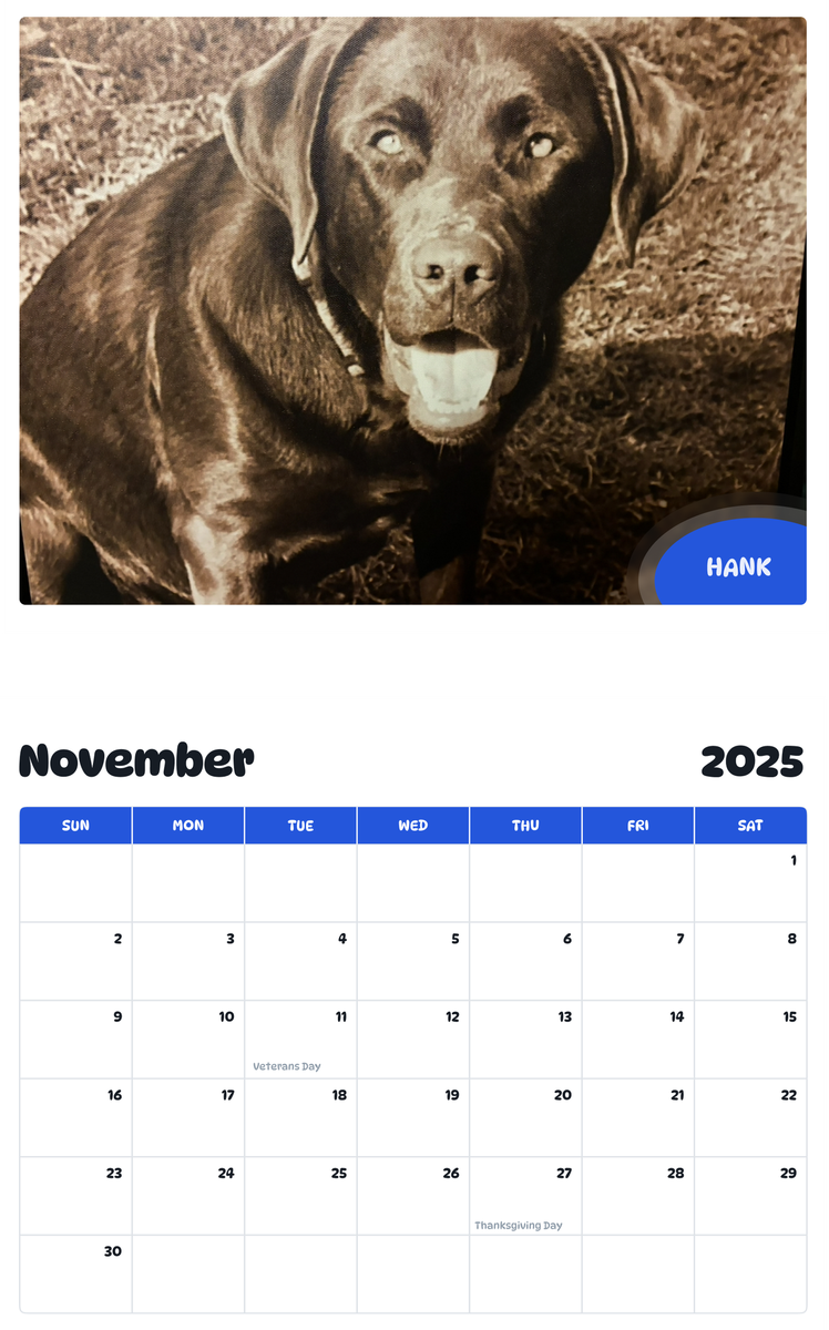 July 2025 - June 2026 Hank - Pawidols Pet Calendar