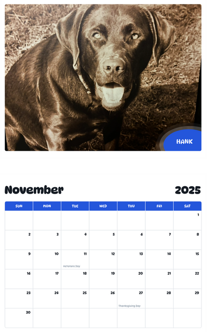 July 2025 - June 2026 Hank - Pawidols Pet Calendar