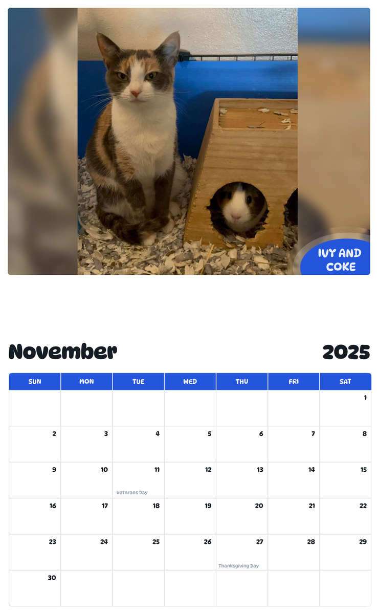 July 2025 - June 2026 Ivy and coke - Pawidols Pet Calendar