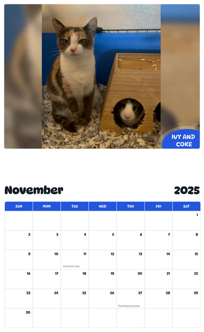July 2025 - June 2026 Ivy and coke - Pawidols Pet Calendar