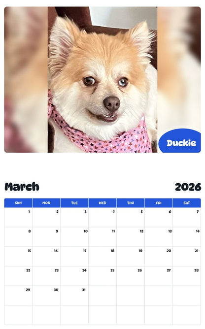 November 2025 - October 2026 Duckie - Pawidols Pet Calendar