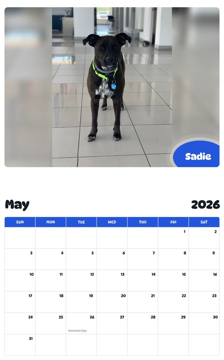 2026 - 2027 Sadie - Pawidols Pet Calendar