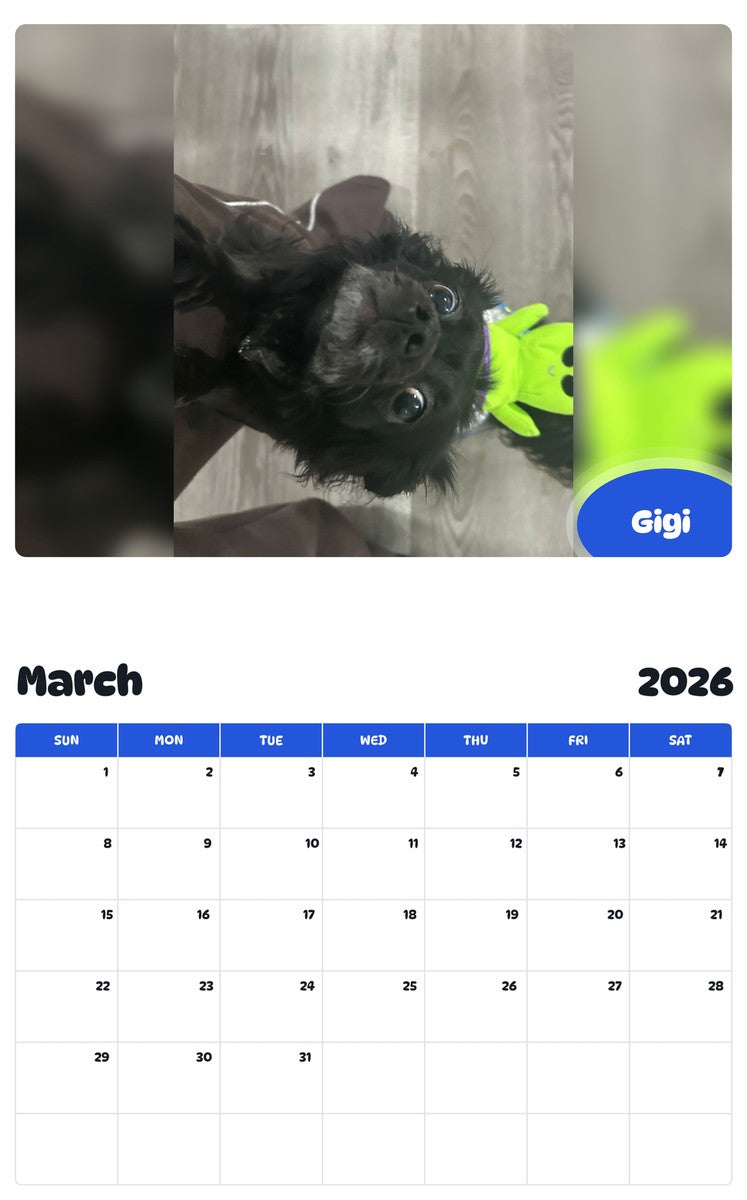 November 2025 - October 2026 Gigi - Pawidols Pet Calendar