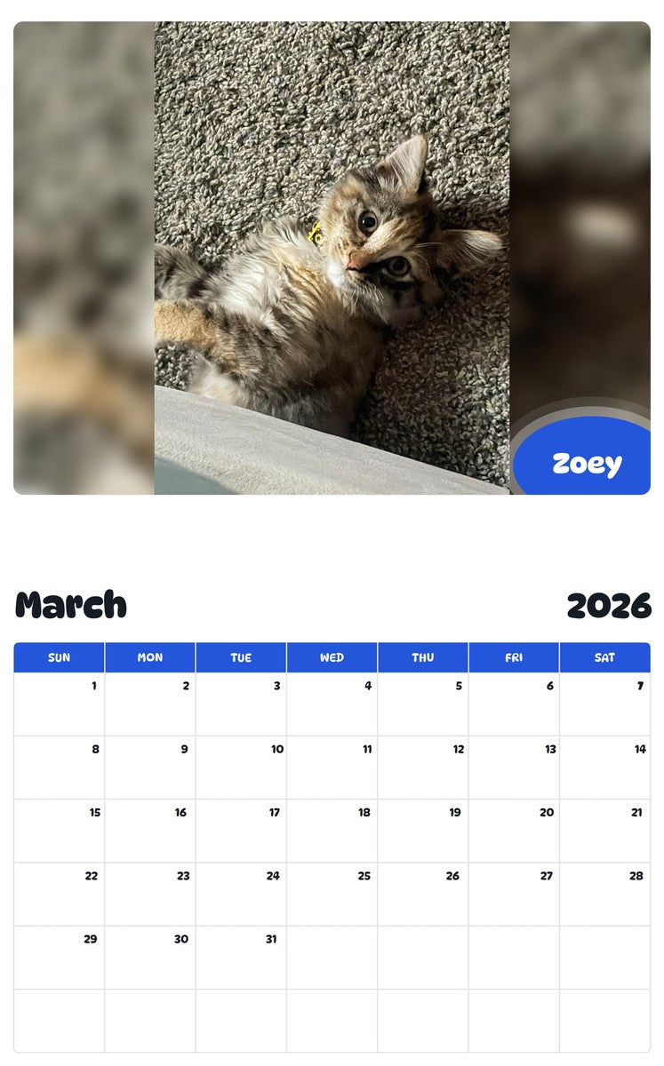 November 2025 - October 2026 Zoey - Pawidols Pet Calendar