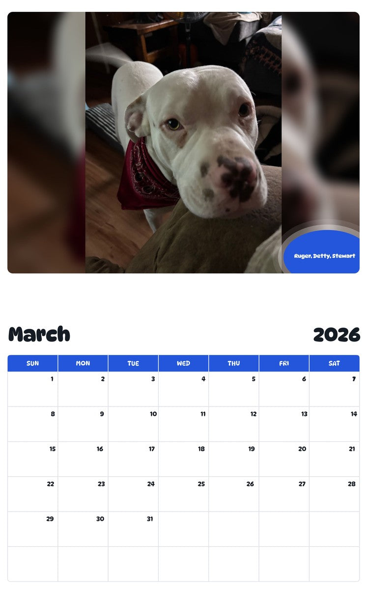 November 2025 - October 2026 Ruger, Detty, Stewart - Pawidols Pet Calendar