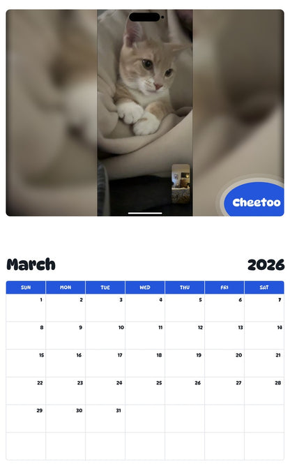 November 2025 - October 2026 Cheetoo - Pawidols Pet Calendar