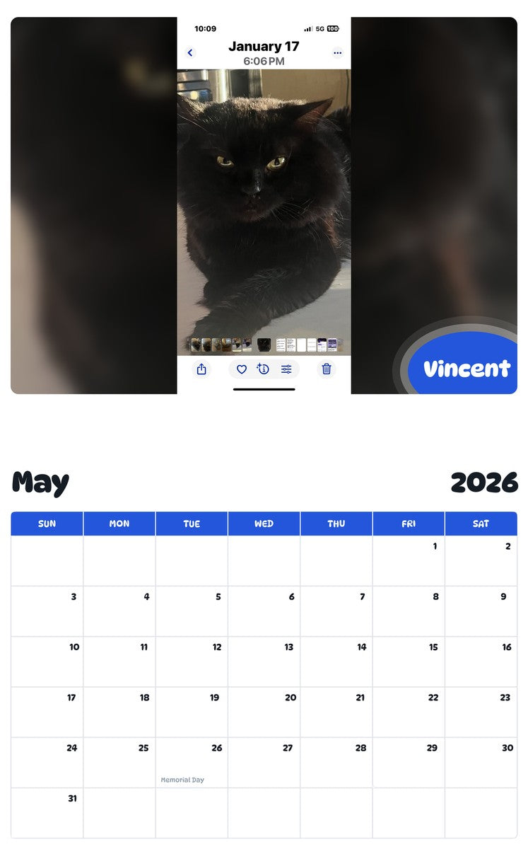 2026 - 2027 Vincent - Pawidols Pet Calendar