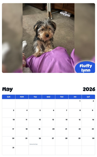 2026 - 2027 Fluffy  lynn - Pawidols Pet Calendar