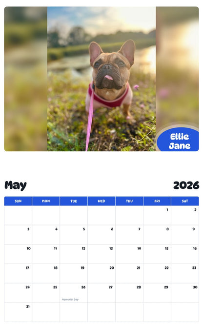2026 - 2027 Ellie Jane - Pawidols Pet Calendar
