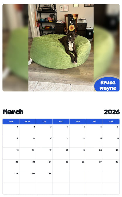 November 2025 - October 2026 Bruce wayne - Pawidols Pet Calendar