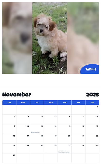 July 2025 - June 2026 Sammie - Pawidols Pet Calendar