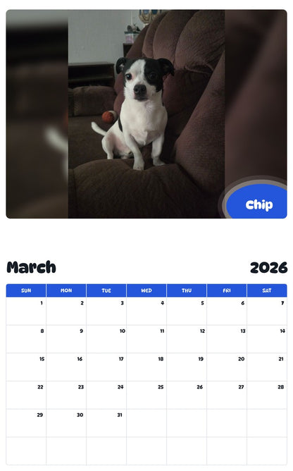 November 2025 - October 2026 Chip - Pawidols Pet Calendar