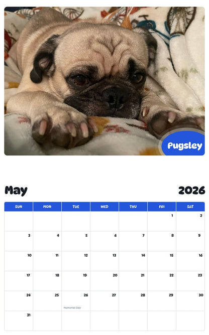 2026 - 2027 Pugsley - Pawidols Pet Calendar