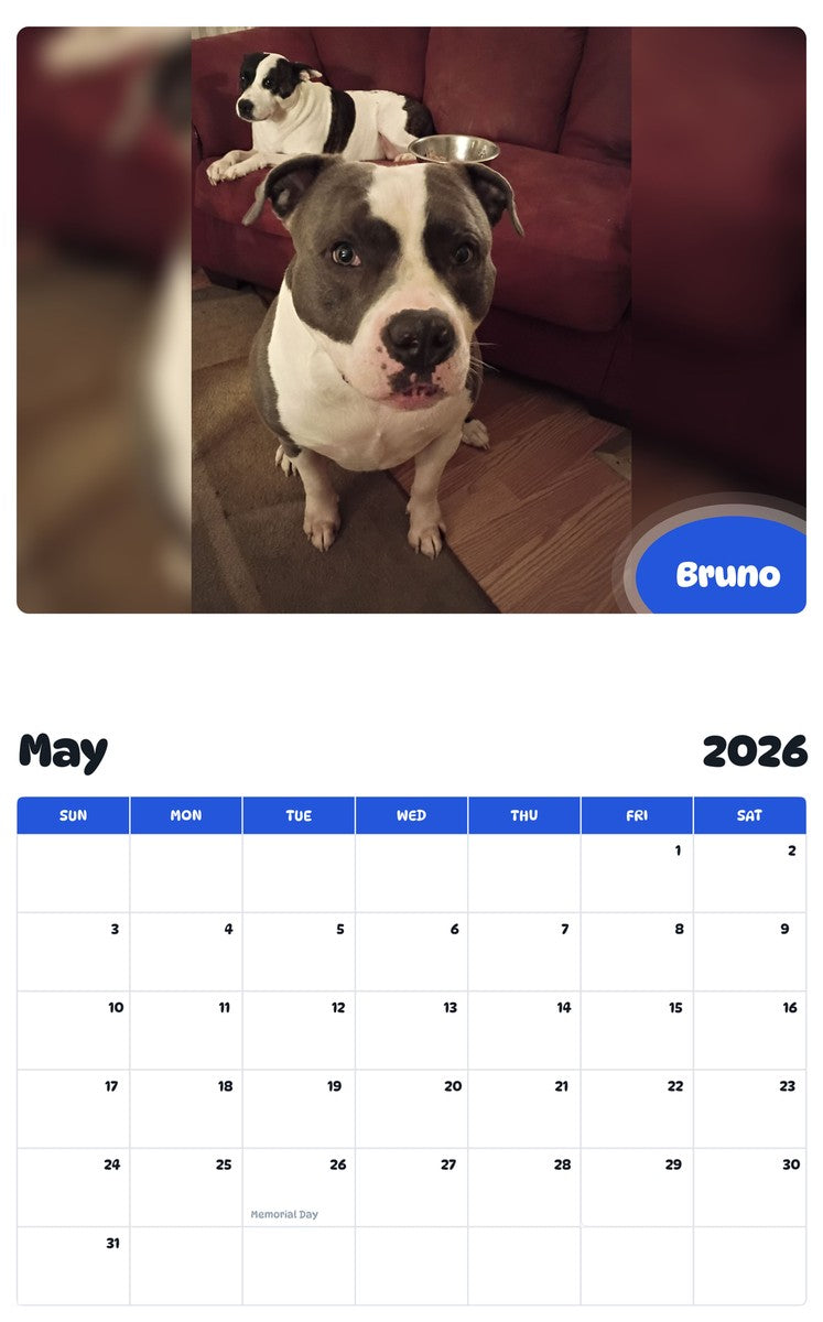 2026 - 2027 Bruno - Pawidols Pet Calendar