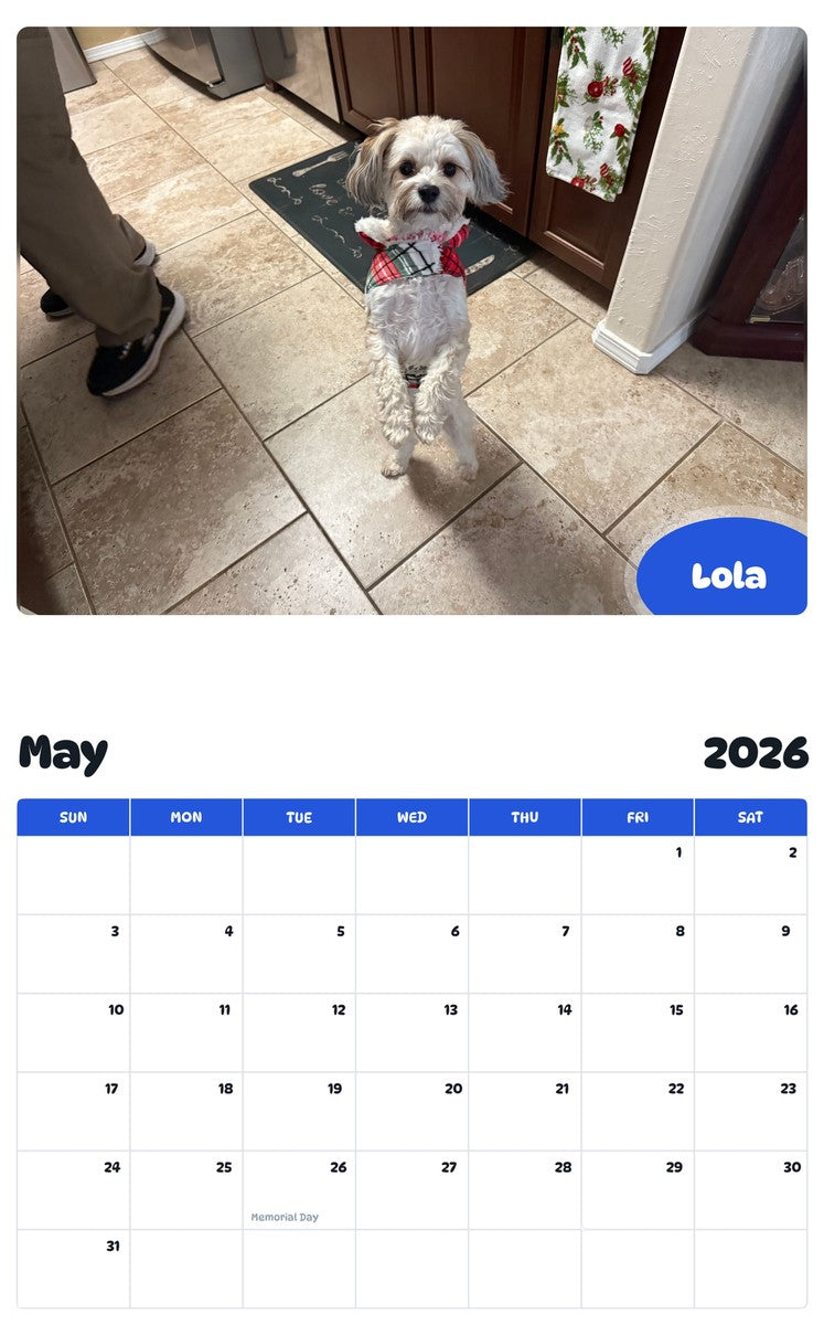 2026 - 2027 Lola - Pawidols Pet Calendar