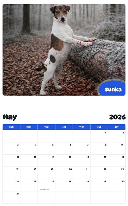 2026 - 2027 Sunka - Pawidols Pet Calendar