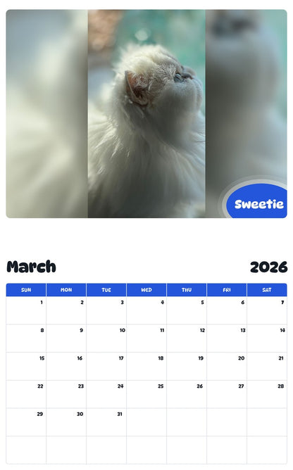 November 2025 - October 2026 Sweetie - Pawidols Pet Calendar