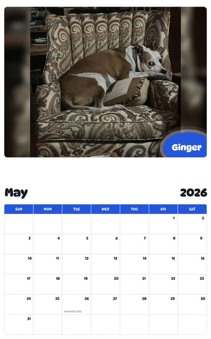 2026 - 2027 Ginger - Pawidols Pet Calendar