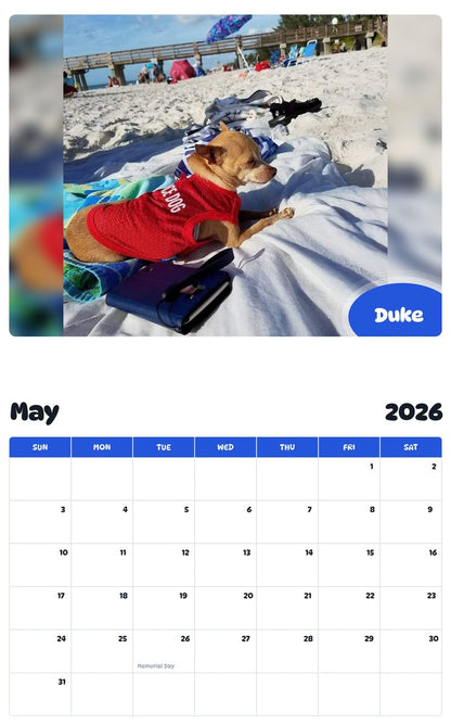 2026 - 2027 Duke - Pawidols Pet Calendar