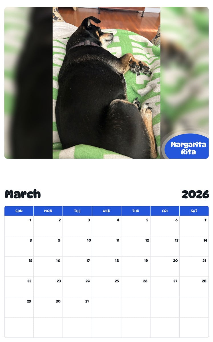 November 2025 - October 2026 Margarita Rita - Pawidols Pet Calendar
