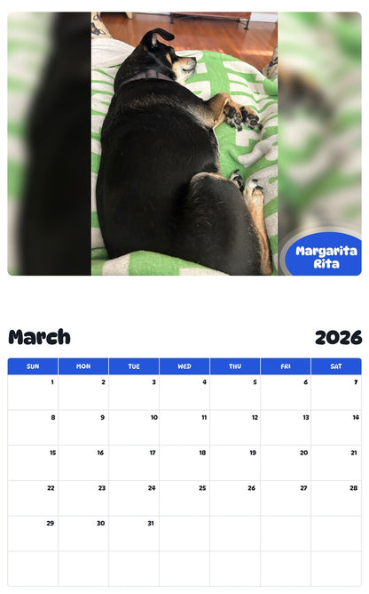 November 2025 - October 2026 Margarita Rita - Pawidols Pet Calendar