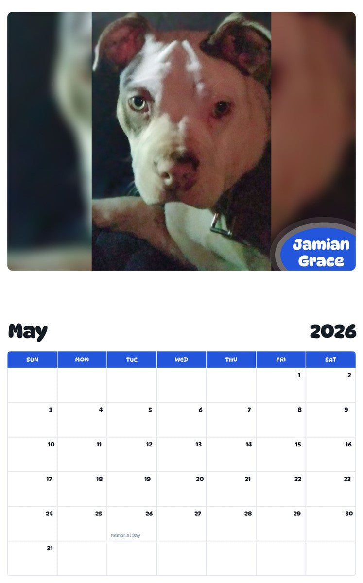 2026 - 2027 Jamian Grace - Pawidols Pet Calendar