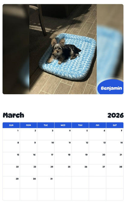 November 2025 - October 2026 Benjamin - Pawidols Pet Calendar