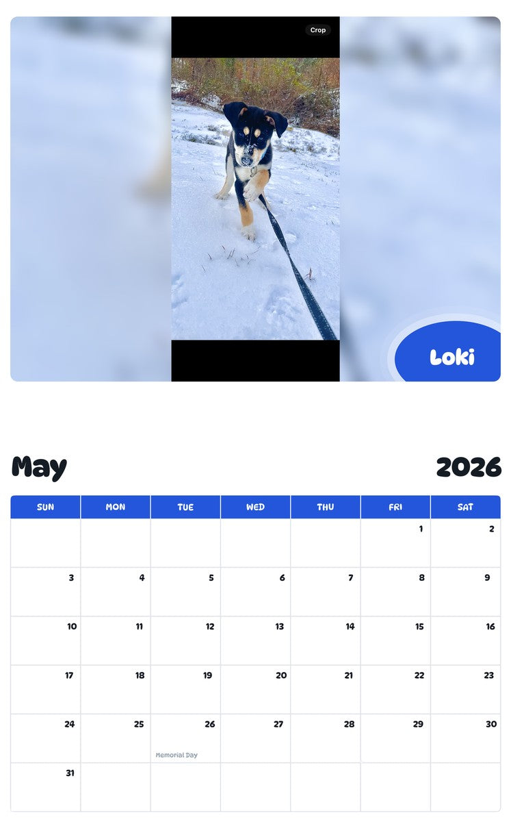 2026 - 2027 Loki - Pawidols Pet Calendar