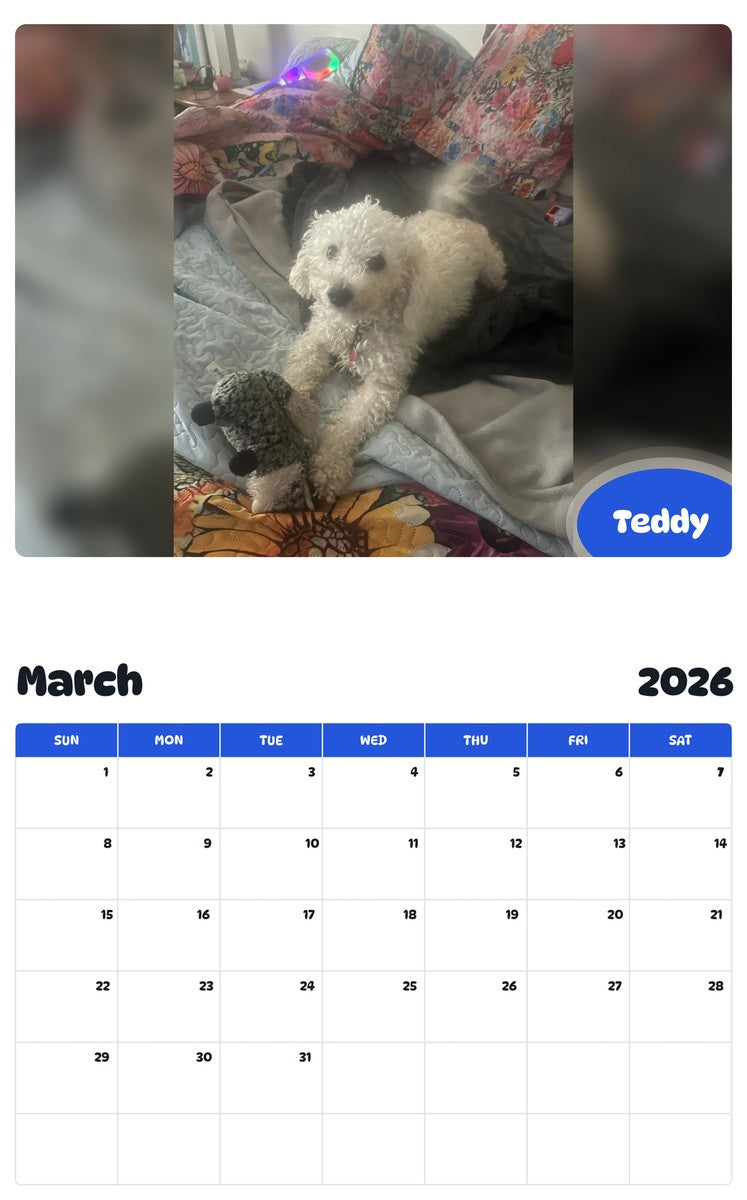 November 2025 - October 2026 Teddy - Pawidols Pet Calendar