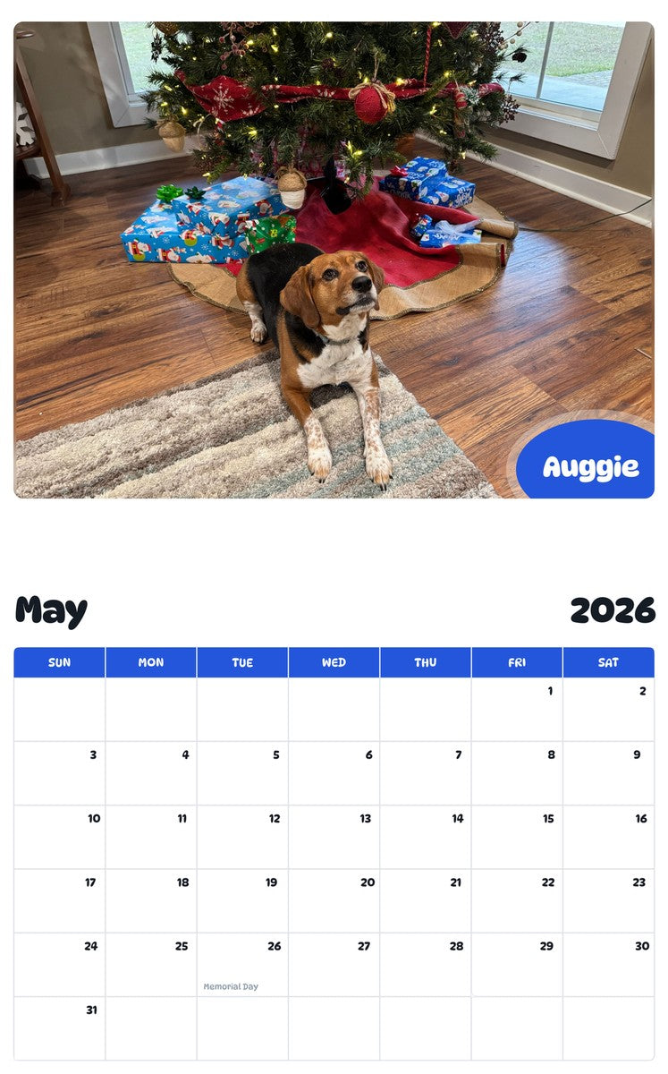 2026 - 2027 Auggie - Pawidols Pet Calendar