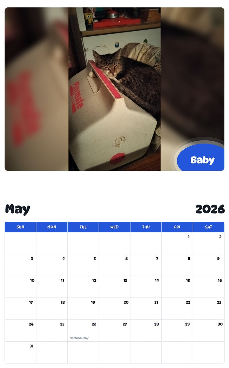 2026 - 2027 Baby - Pawidols Pet Calendar