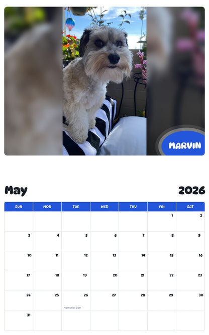 2026 - 2027 MARVIN - Pawidols Pet Calendar