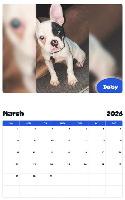 November 2025 - October 2026 Daisy - Pawidols Pet Calendar