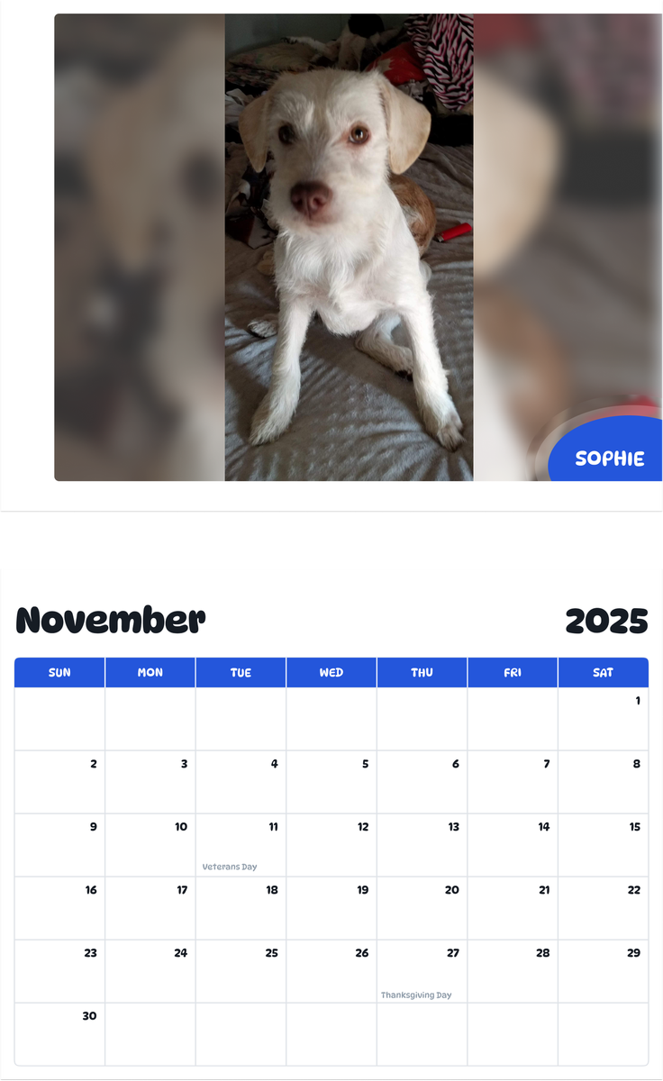 July 2025 - June 2026 Sophie - Pawidols Pet Calendar