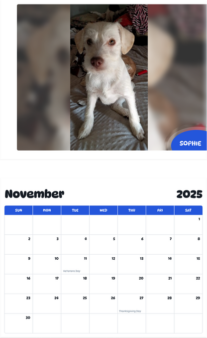 July 2025 - June 2026 Sophie - Pawidols Pet Calendar