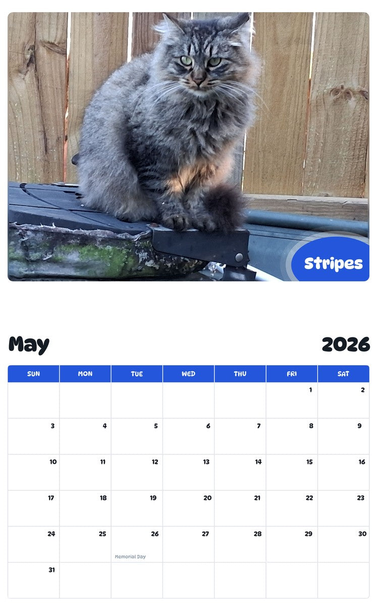 2026 - 2027 Stripes - Pawidols Pet Calendar