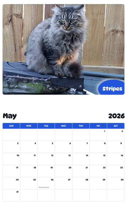 2026 - 2027 Stripes - Pawidols Pet Calendar