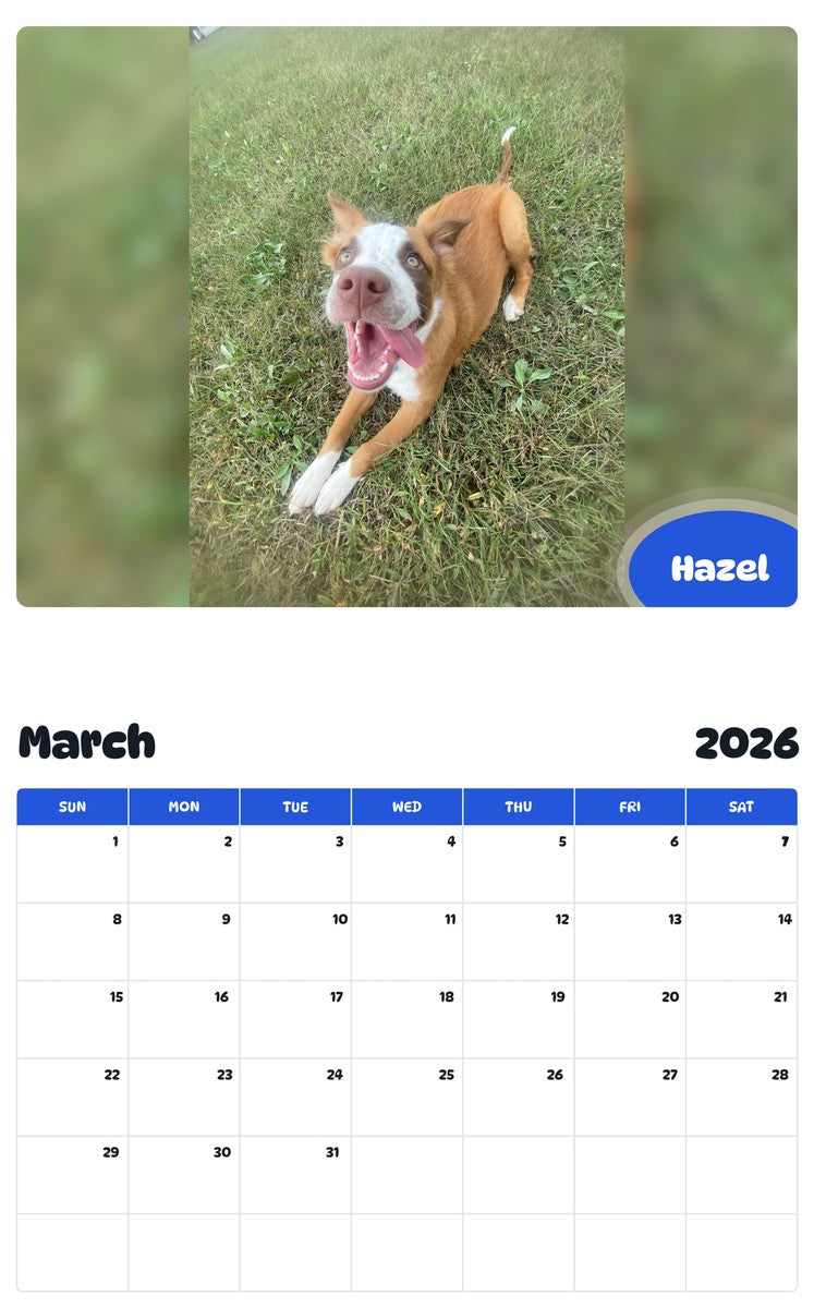 November 2025 - October 2026 Hazel - Pawidols Pet Calendar