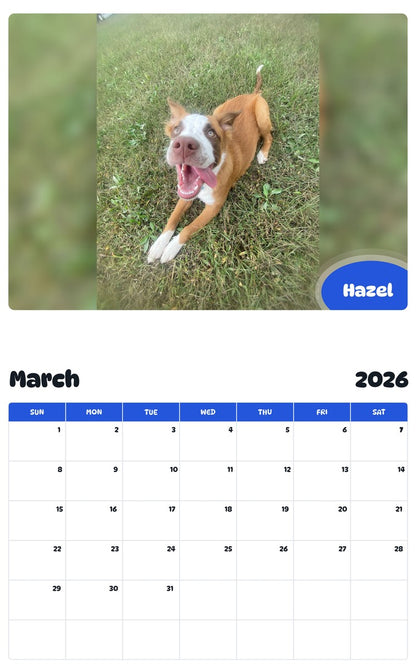 November 2025 - October 2026 Hazel - Pawidols Pet Calendar