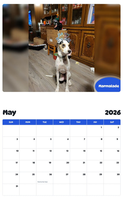 2026 - 2027 Marmalade - Pawidols Pet Calendar