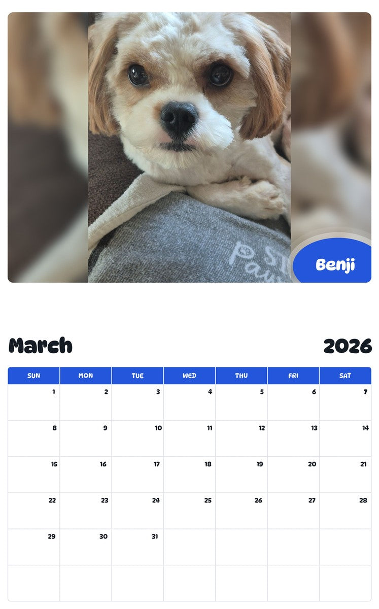 November 2025 - October 2026 Benji - Pawidols Pet Calendar