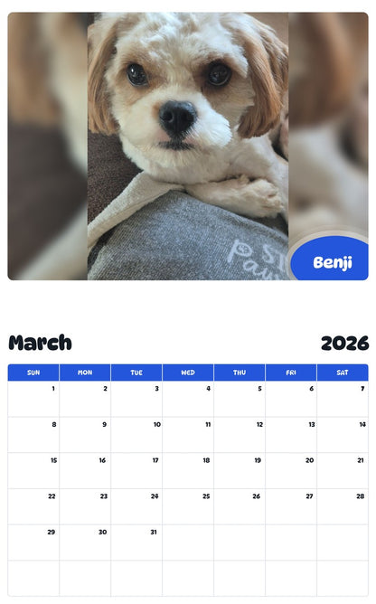 November 2025 - October 2026 Benji - Pawidols Pet Calendar
