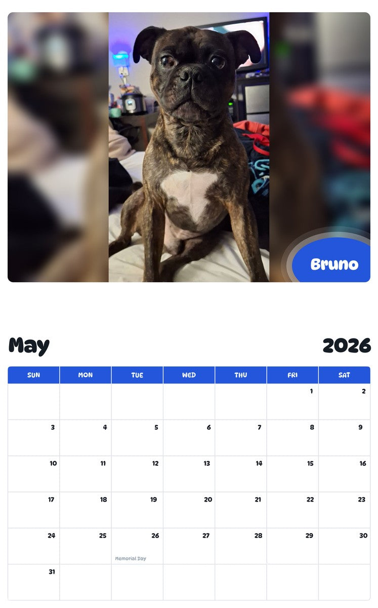 2026 - 2027 Bruno - Pawidols Pet Calendar