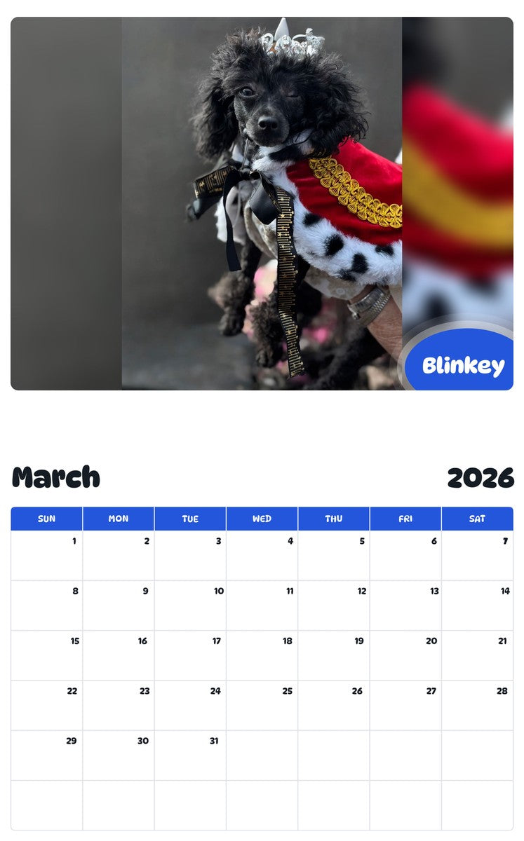November 2025 - October 2026 Blinkey - Pawidols Pet Calendar
