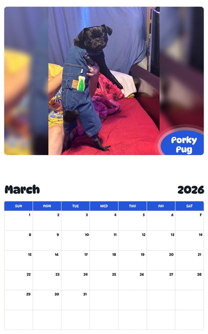 November 2025 - October 2026 Porky Pug - Pawidols Pet Calendar