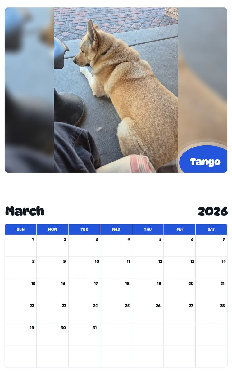 November 2025 - October 2026 Tango - Pawidols Pet Calendar